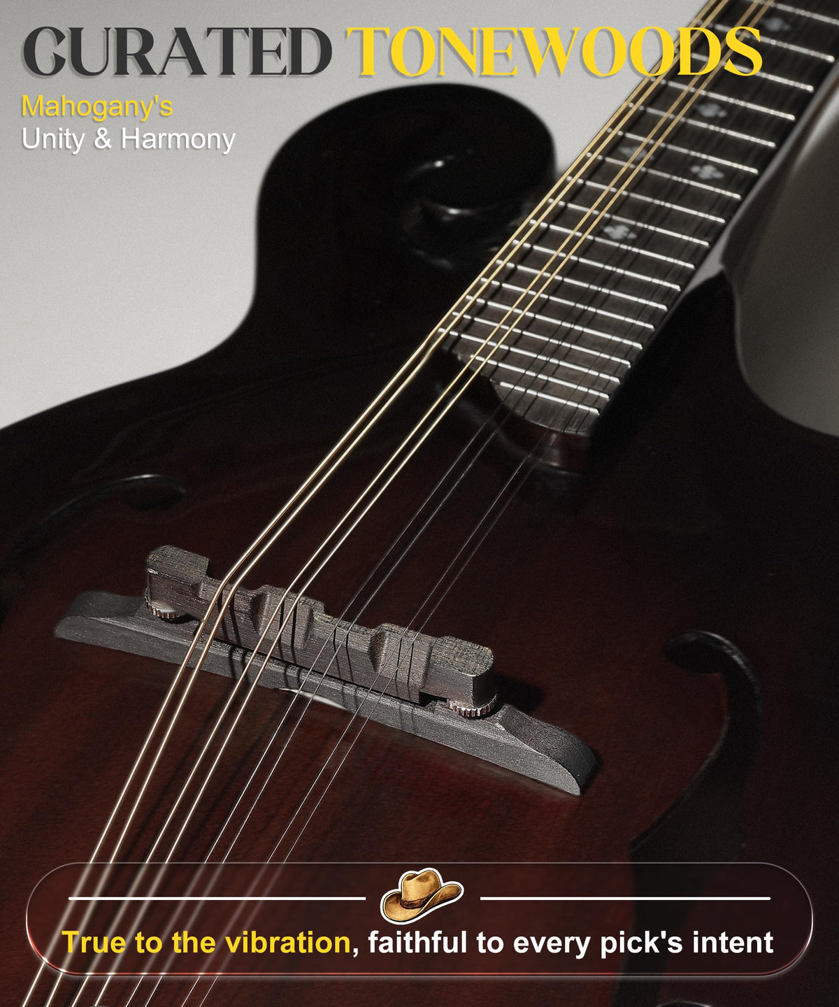 Hand-Carved Mahogany Acoustic Mandolin with Padded Bag B1870